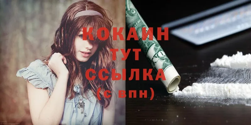 mega маркетплейс  Шелехов  Cocaine FishScale  закладки 